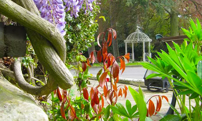 Warwickshire: 2 Nights For Two With Breakfast and Late Check-Out for £79 at BEST WESTERN Weston Hall Hotel (47% Off) - Image 7