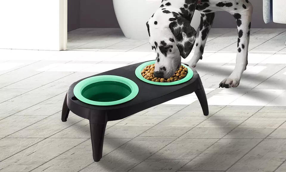 Double gamelles pour chien Crufts - Primary Image