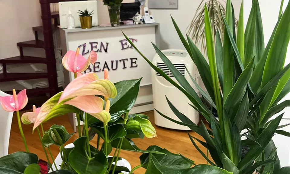 Beauté des mains ou pieds chez Zen et beauté