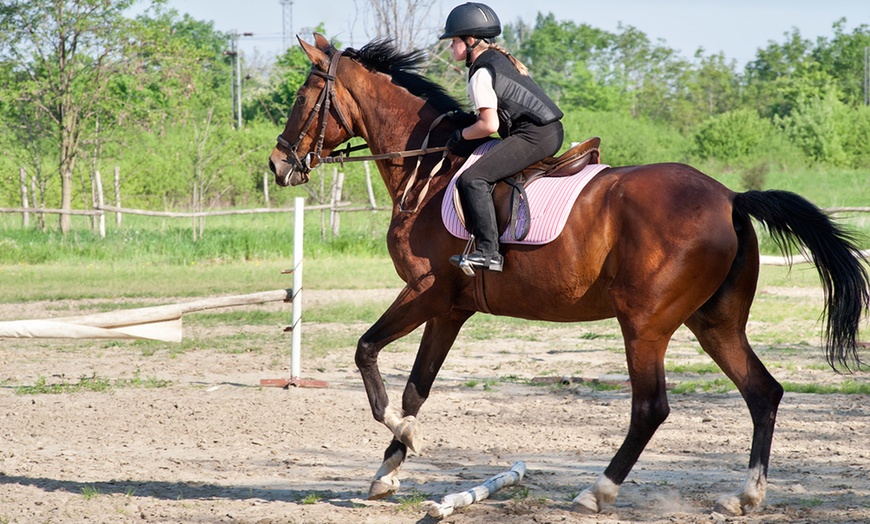 Image 1: Horse Riding Lesson