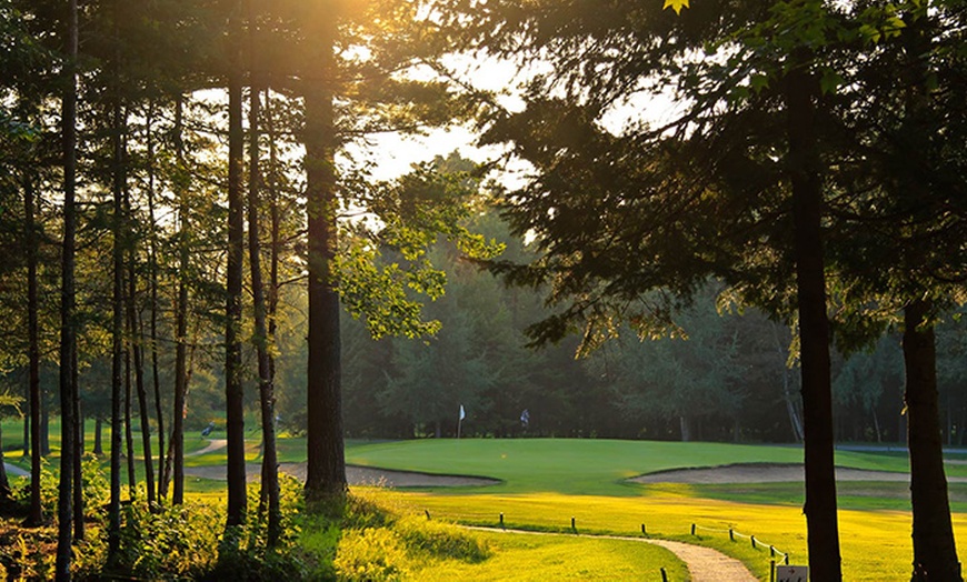 Image 3: Day of Golf with Cart