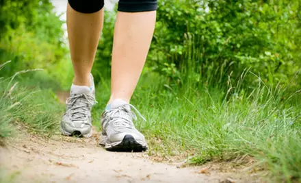 $99 for Custom Orthotic Insoles at Safi Sole ($450 Value) - Primary Image