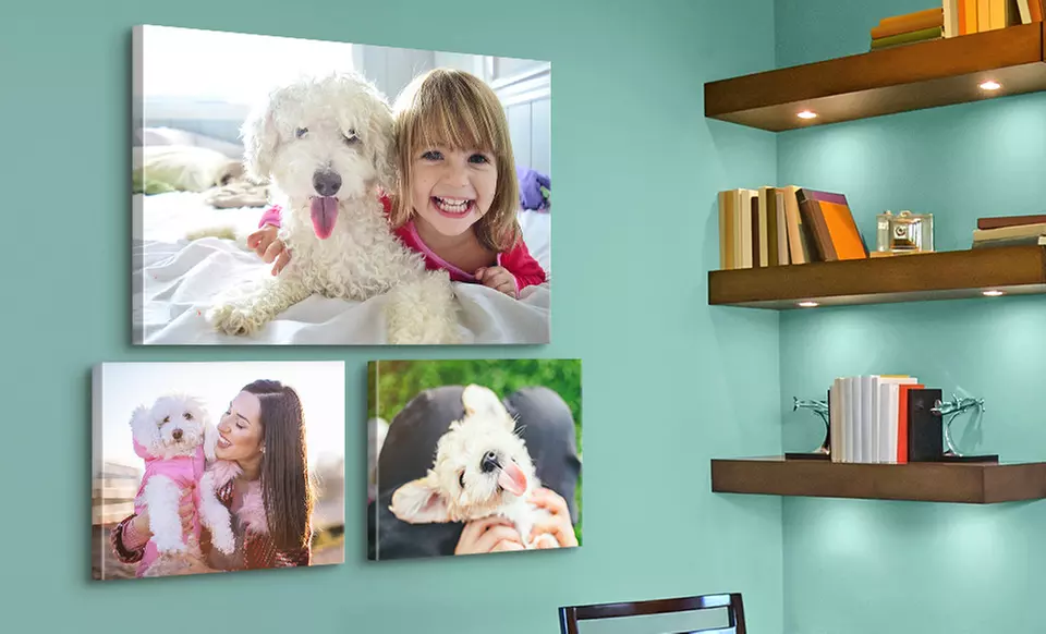 Custom Premium Canvases from Canvas on Demand (Up to 89% Off). Five Options Available - Primary Image
