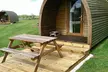 York: An Overnight or 2-Night Glamping Pod Stay for 2 With a Bottle of Prosecco to Share. Valid Sunday to Thursday - Image 4