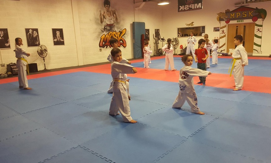 Image 9: Two Kids Taekwondo Lessons