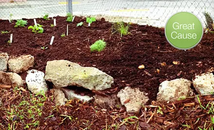 $10 Donation to Help Fund a Community-Garden Project - Primary Image