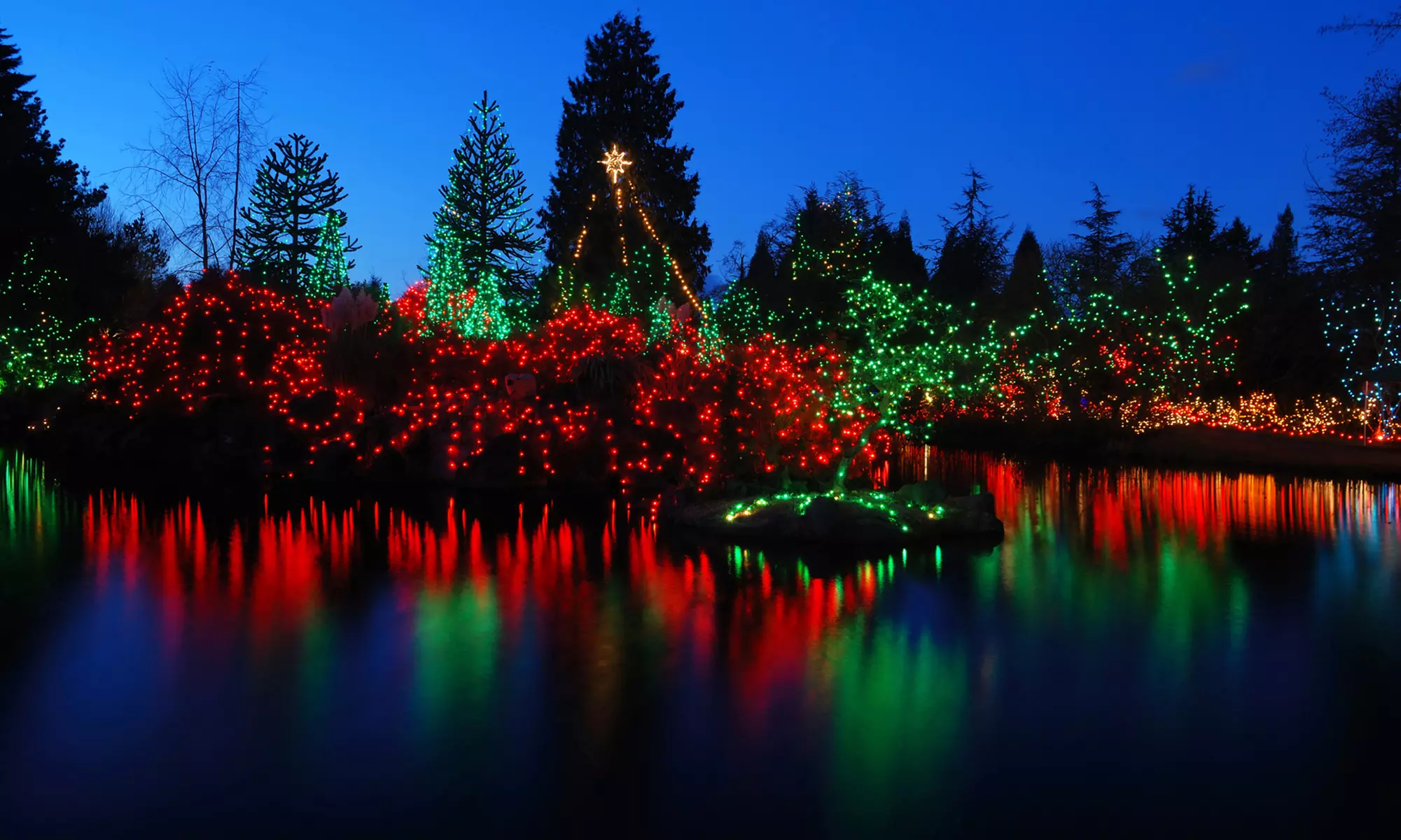 Holiday-Light Bus Tour for Two or Four from Arrow Stage Lines (Up to 50% Off). Seven Dates Available. - Primary Image
