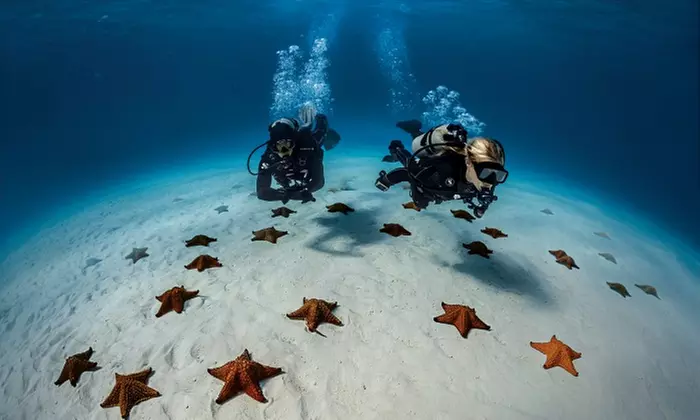 Open Water Diver Tauchkurs