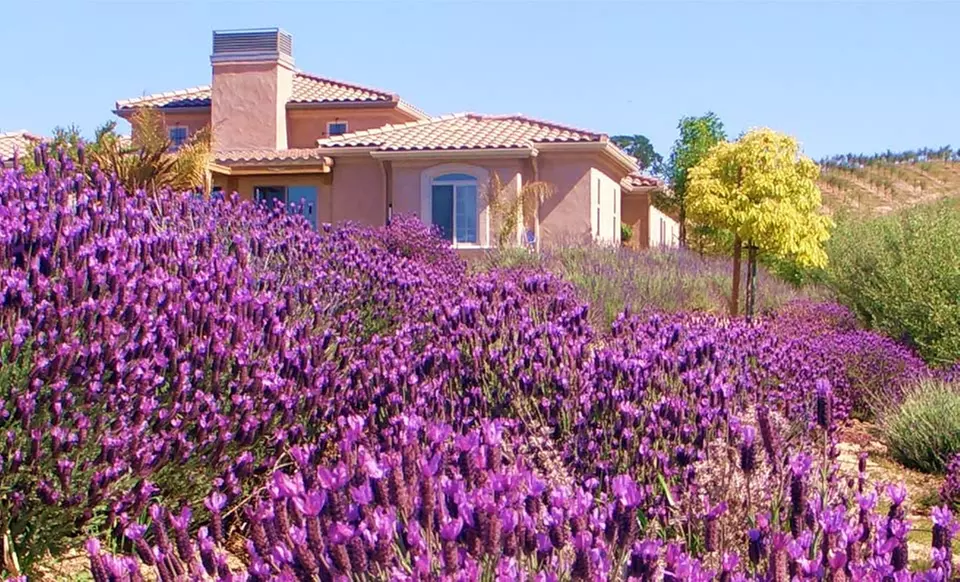 Two-Night Stay for Two with Wine Tasting at The Sundance Inn in Paso Robles, CA - Primary Image