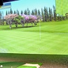 Image 1: Indoor Driving Range Simulator