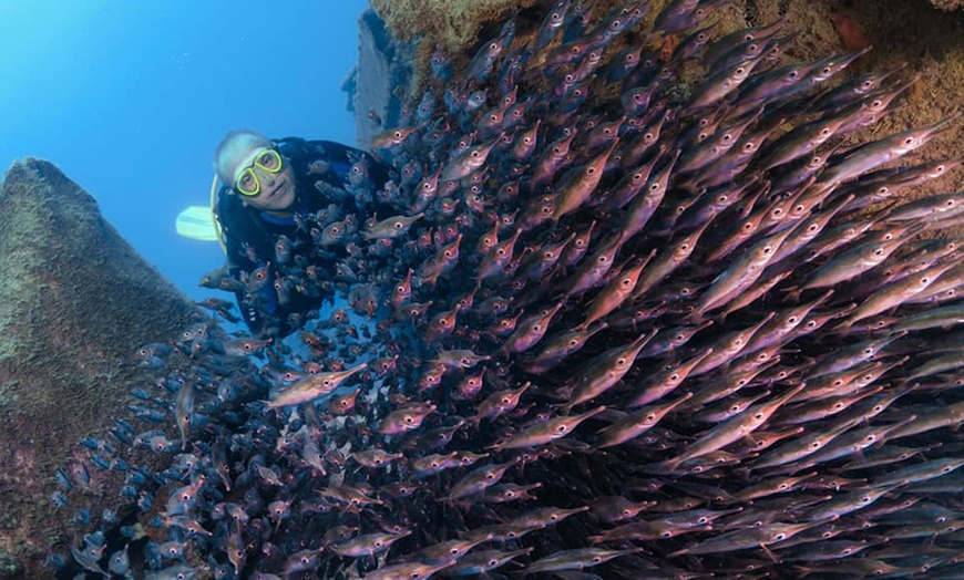 Image 2: Curso de Open Water Diver