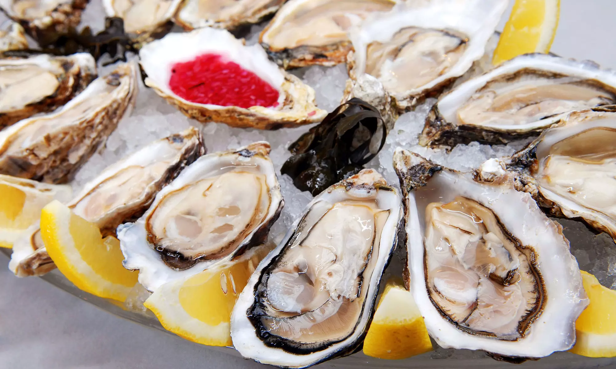 $38 for Oysters, Foie Gras Appetizer & Wine Pairings or Dessert for 2 at Day & Night Angus Steak and Raw Bar ($78 Value) - Primary Image