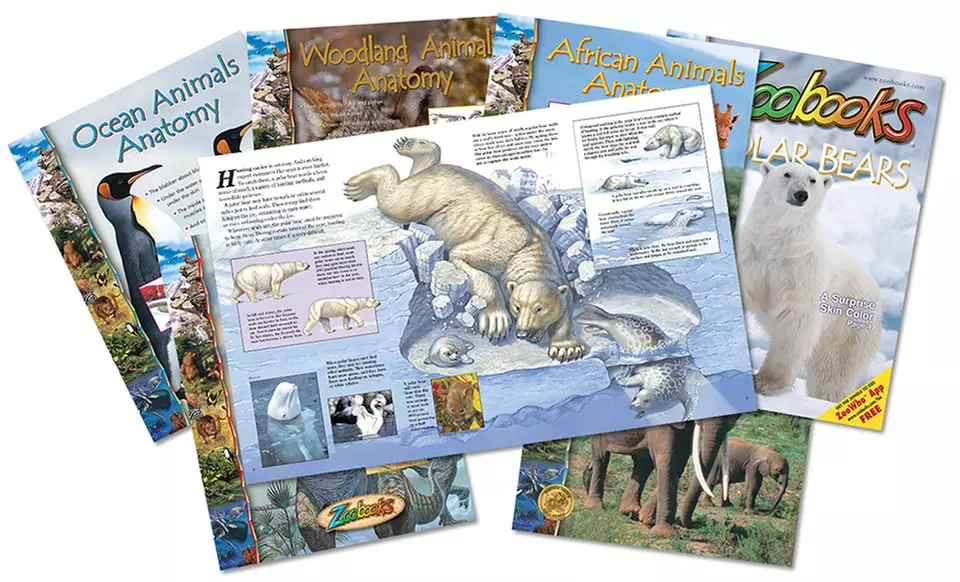 Zoobooks Animal-Anatomy Set with 2 Bonus Books  - Second Medium