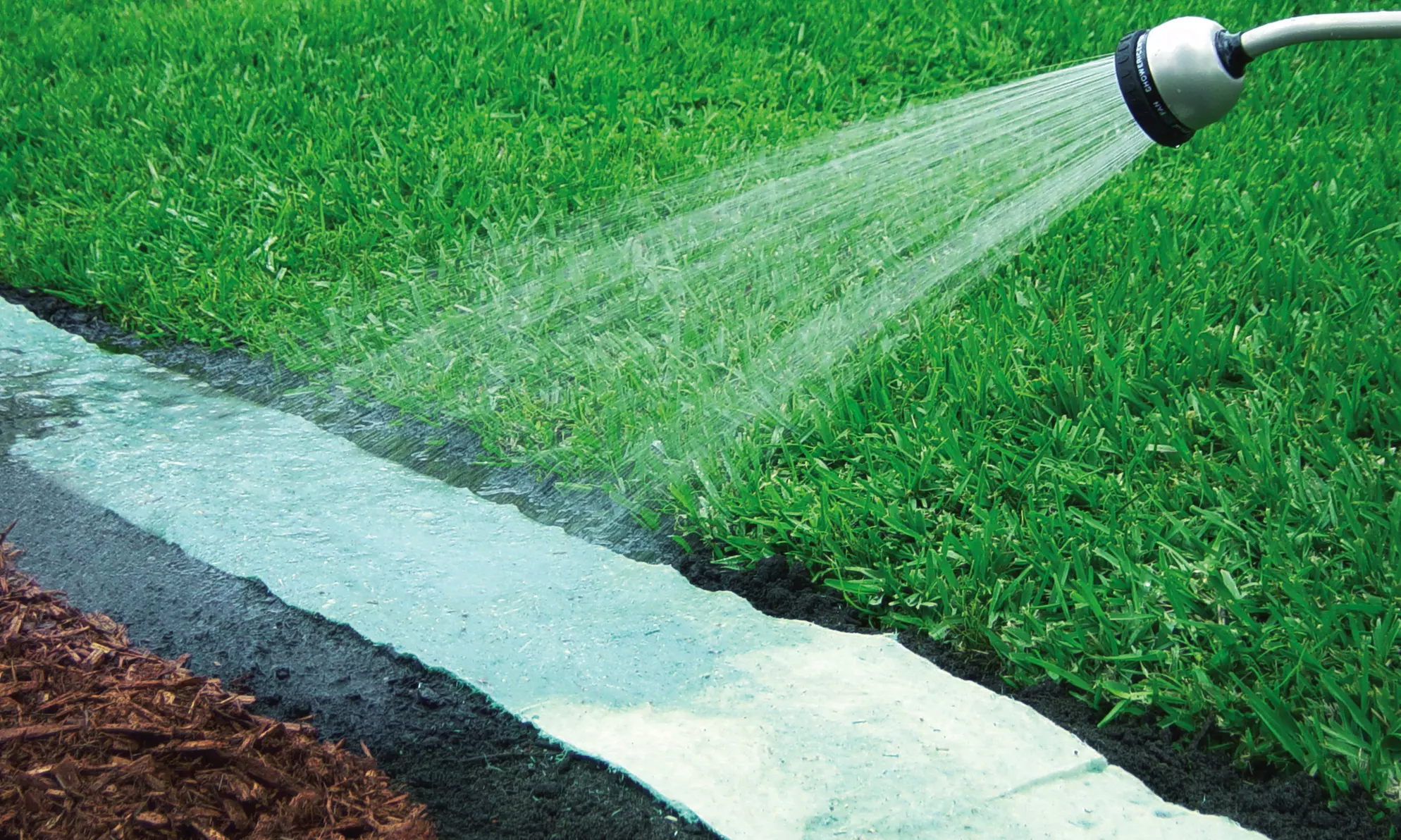 Butterfly and Hummingbird Attractant Roll Out Garden - Second Medium