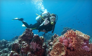 Up to 53% Off Scuba Classes and Certification 