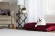 La-Z-Boy Cooper Tufted Dog Bed - Second Medium