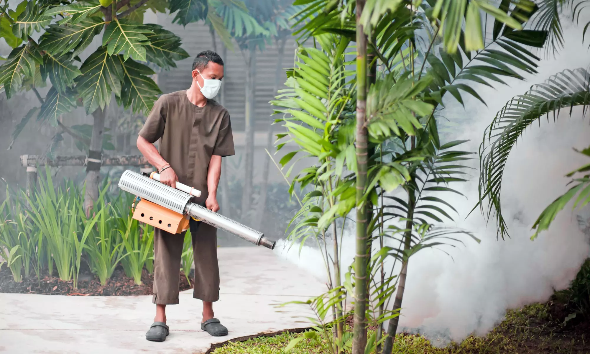 $40 for $129 Worth of Pest-Control Services — Down Home Pest and Animal Removal - Primary Image