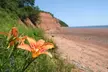 Adventure Tour for One or Two from Great E.A.R.T.H. Expeditions (Up to 50% Off). Three Options Available. - Second Medium