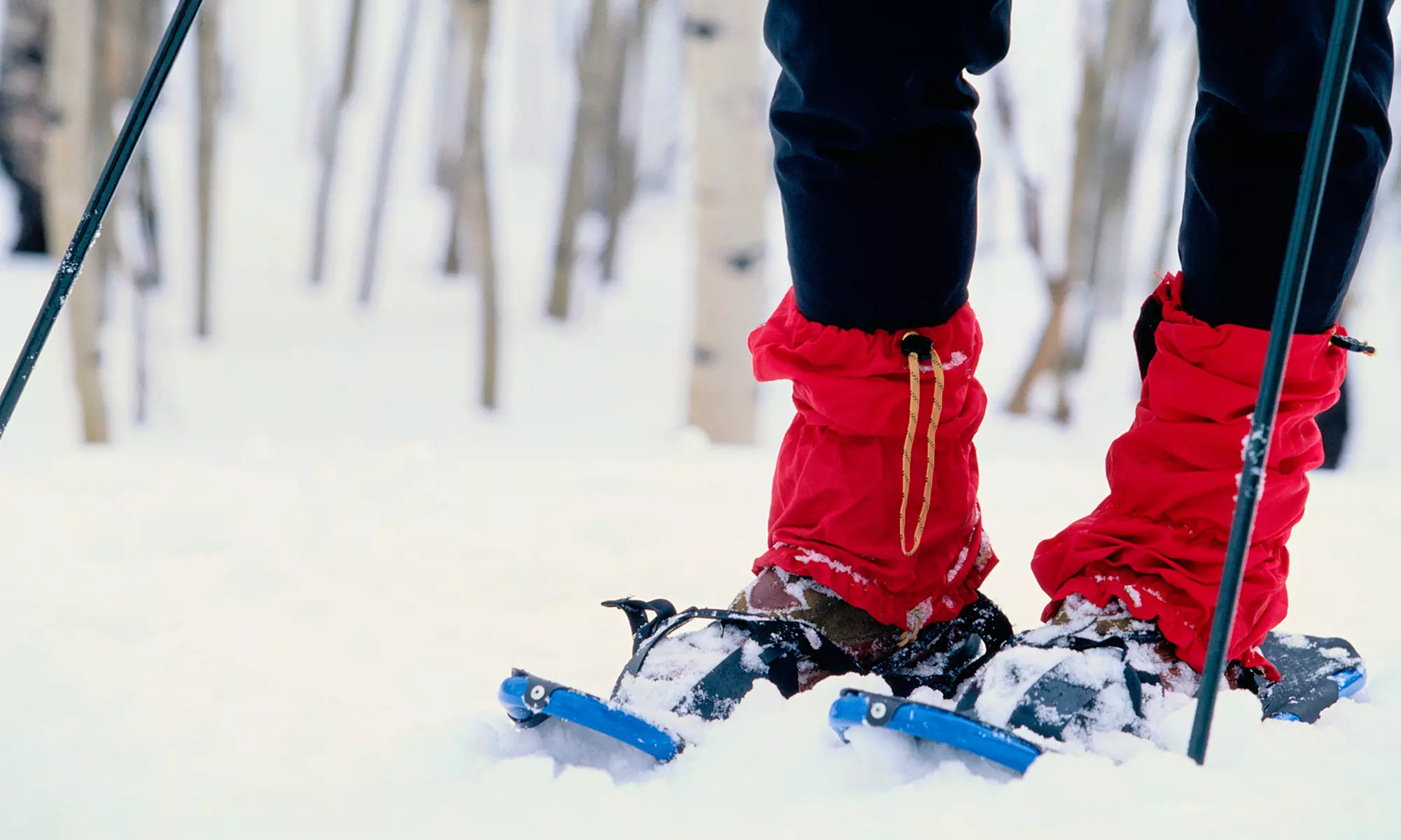 Hummer Snowshoe Adventure or Snowshoe Adventure at Xtreme Adventures (Up to 51% Off) - Primary Image