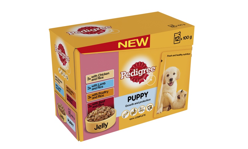 Image 4: 48Pack Pedigree Pouches 100g Each