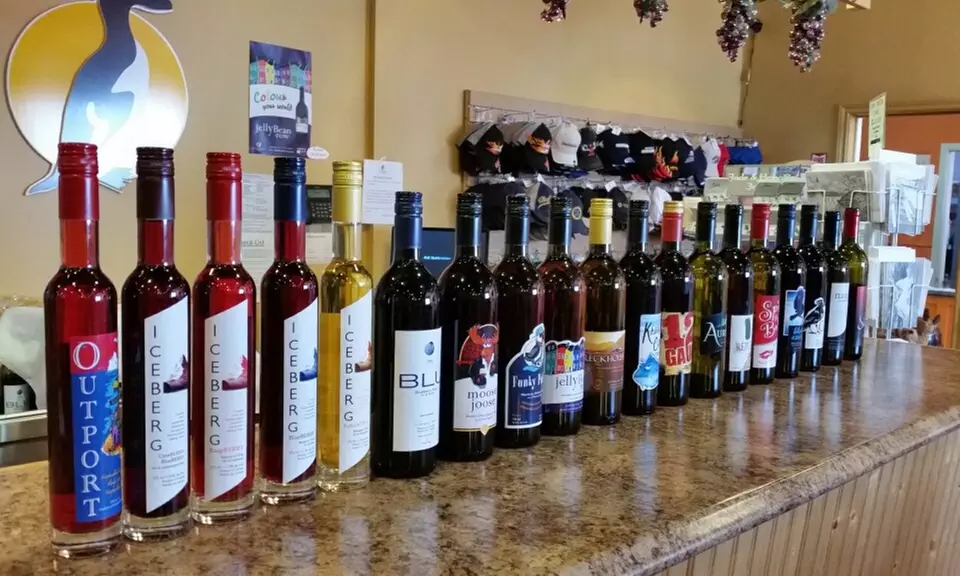 Up to 47% Off Wine Tour and Tasting at Auk Island Winery - Primary Image