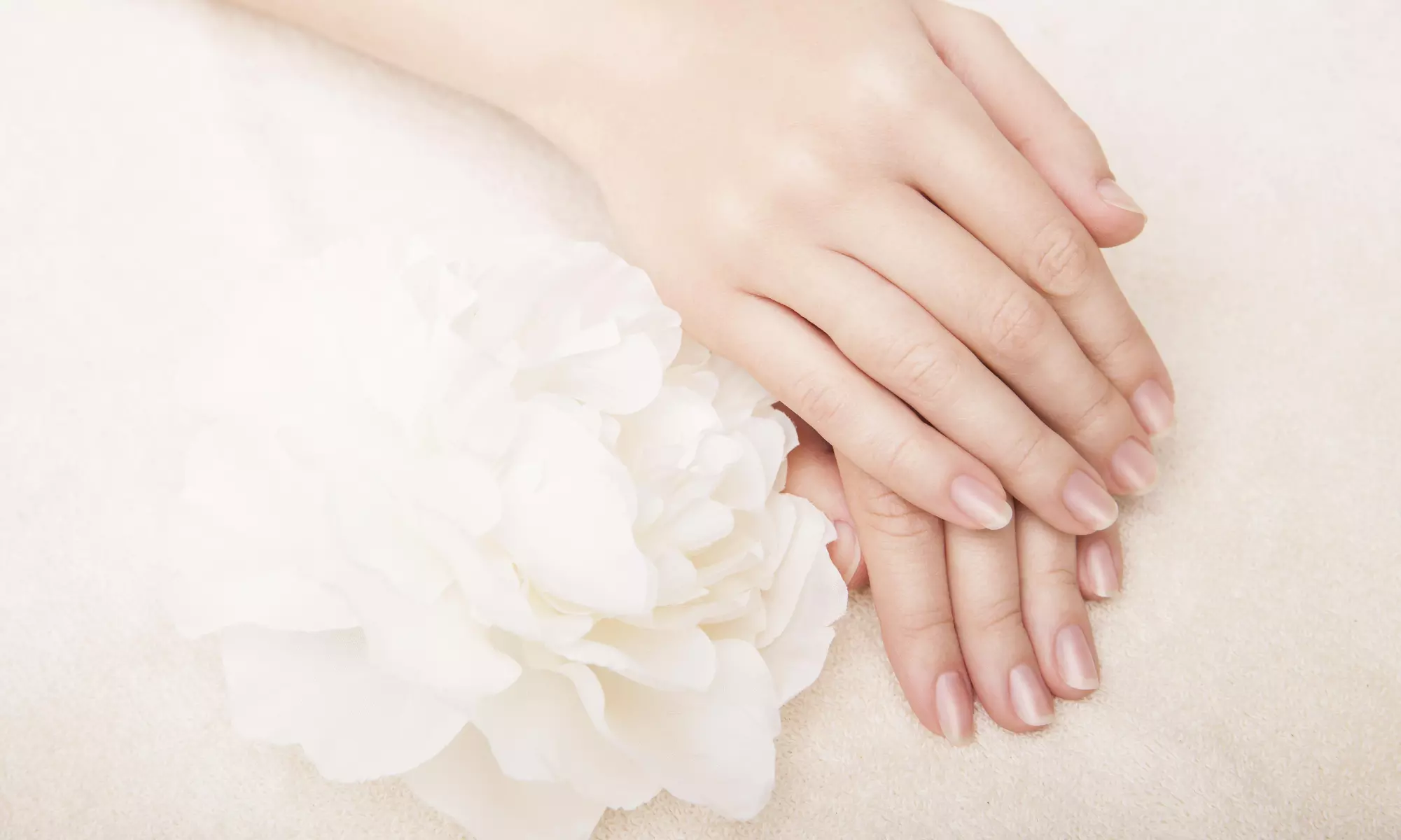 A Manicure from Natural Nail Lounge - Organic Nail & Spa (48% Off) - Primary Image