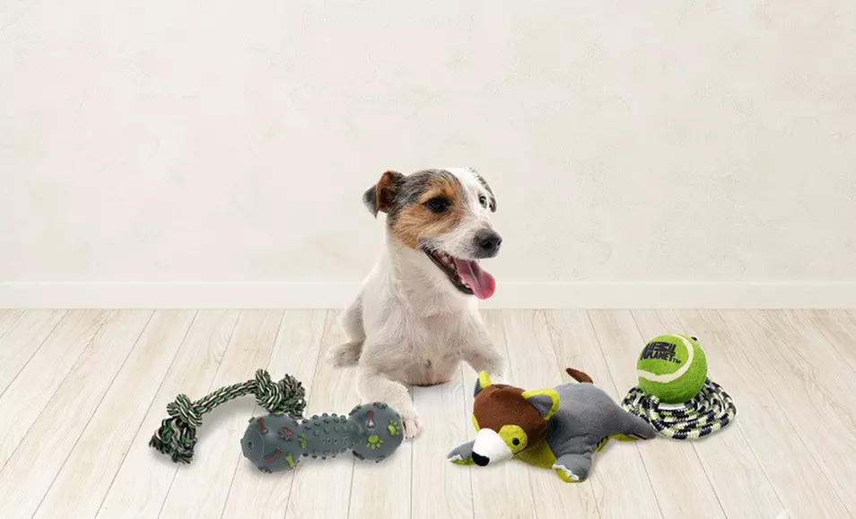 $9.99 for a Four-Pack of Animal Planet Dog Toys ($24.13 List Price) - Second Medium