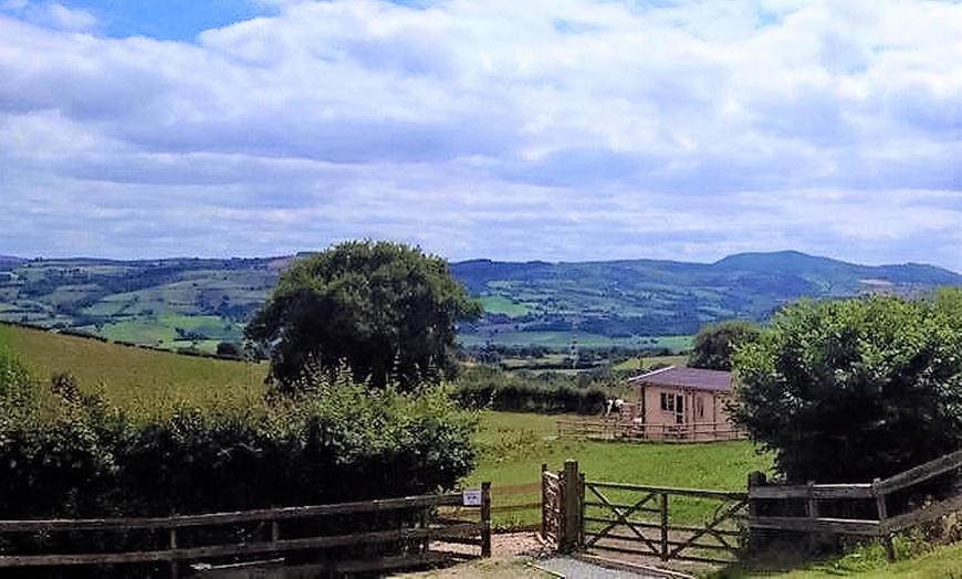 Image 9: Shropshire: 2- or 3-Night Log Cabin Stay