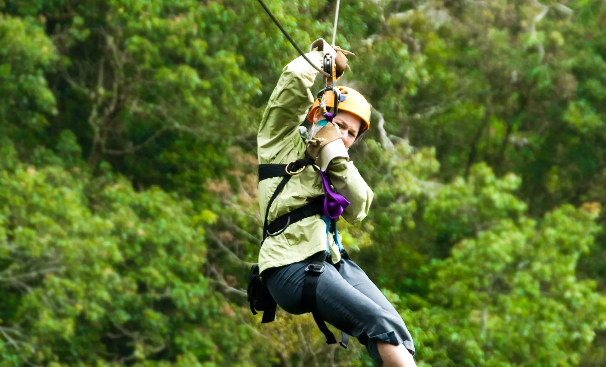 Zipline Tour for One, Two, or Four Adults at Zip Zag (Up to 39% Off) - Primary Image