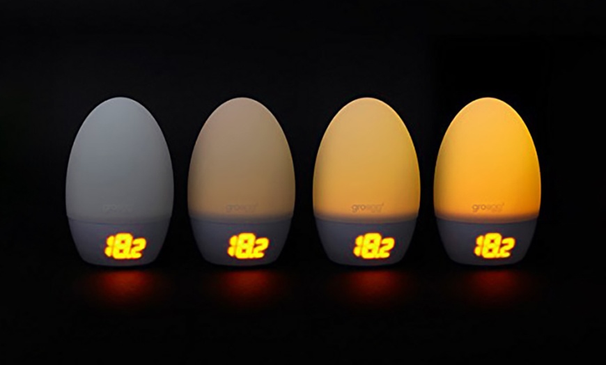 Image 3: Gro-Egg2 Digital Thermometer