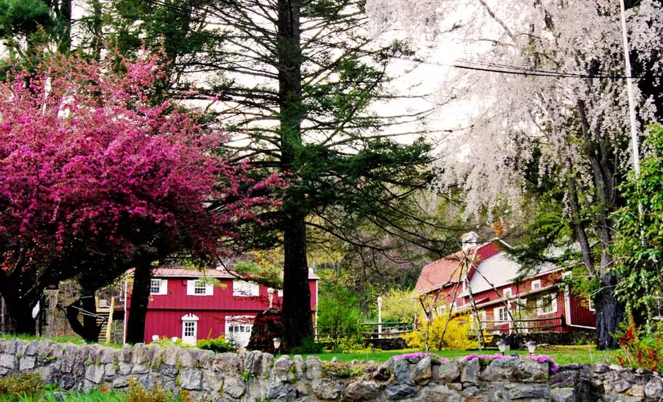 2-Night Stay for Two at Bella Alpacas in Milford, CT - Primary Image