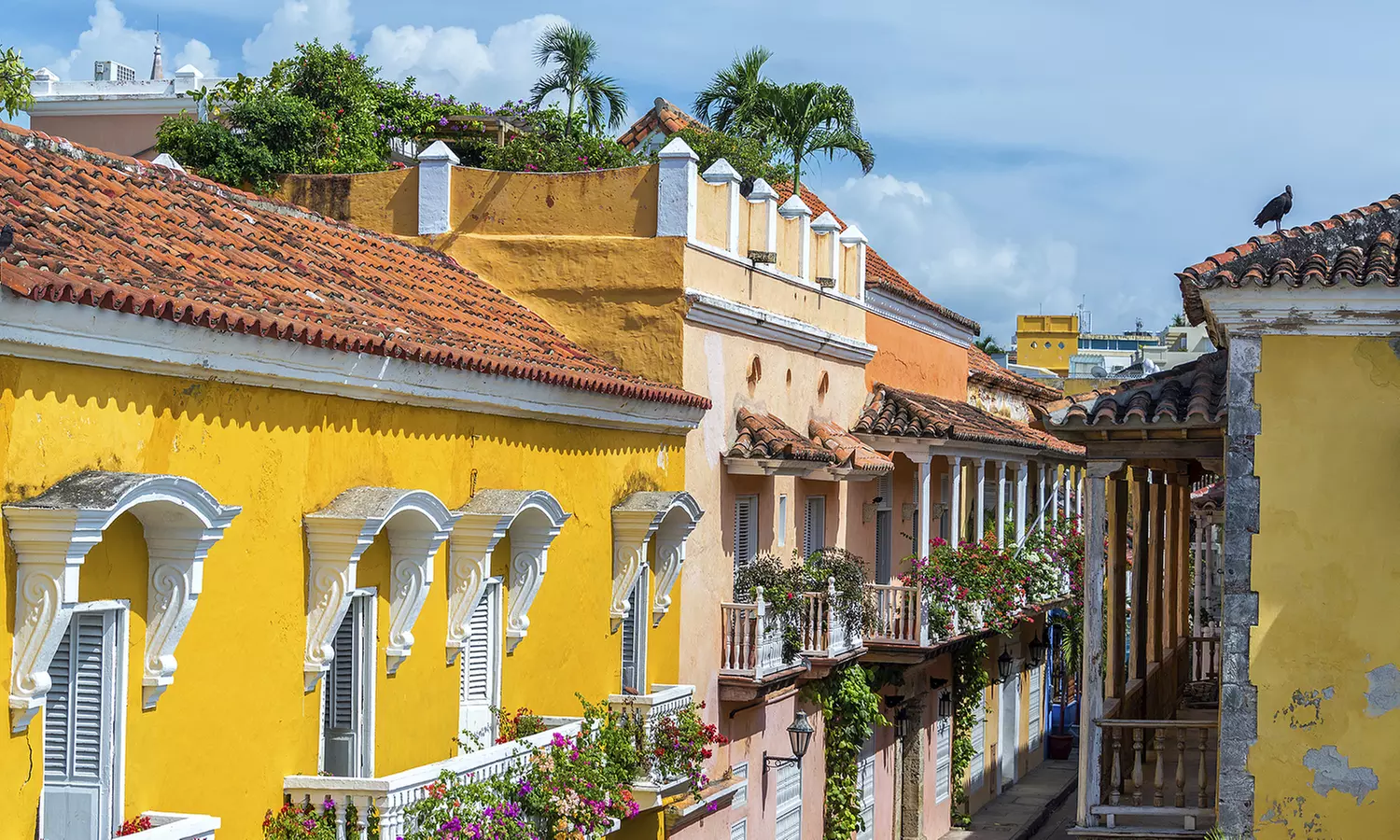 Colombia Vacation. Price /Person, Based on Two Guests per Room; Buy One Voucher per Person - Primary Image