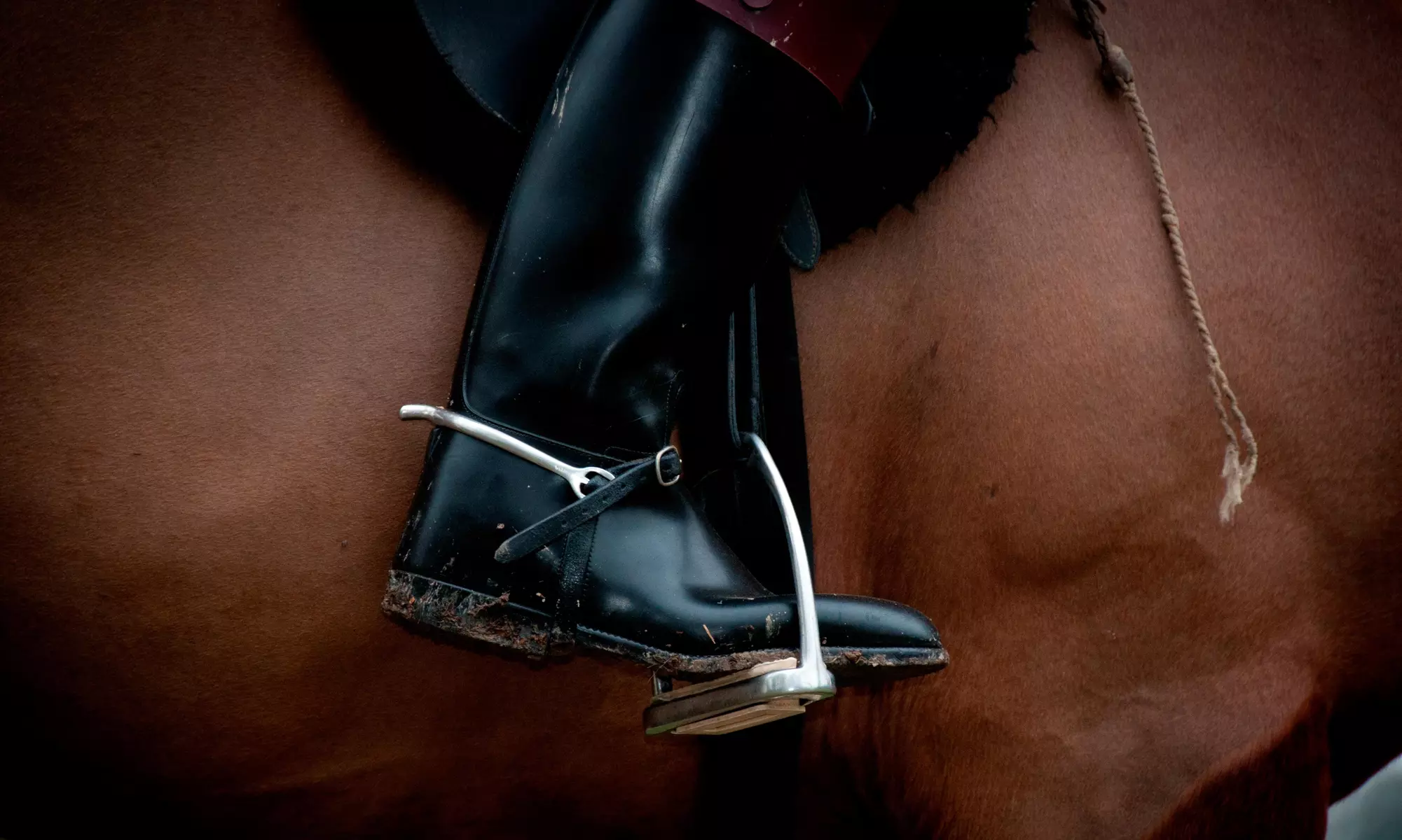 $32 Off Four Horse Riding Lessons at Tom Sworm Stables - Primary Image