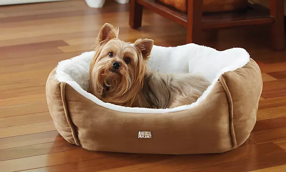Animal Planet Micro Suede Pet Bed - Primary Image