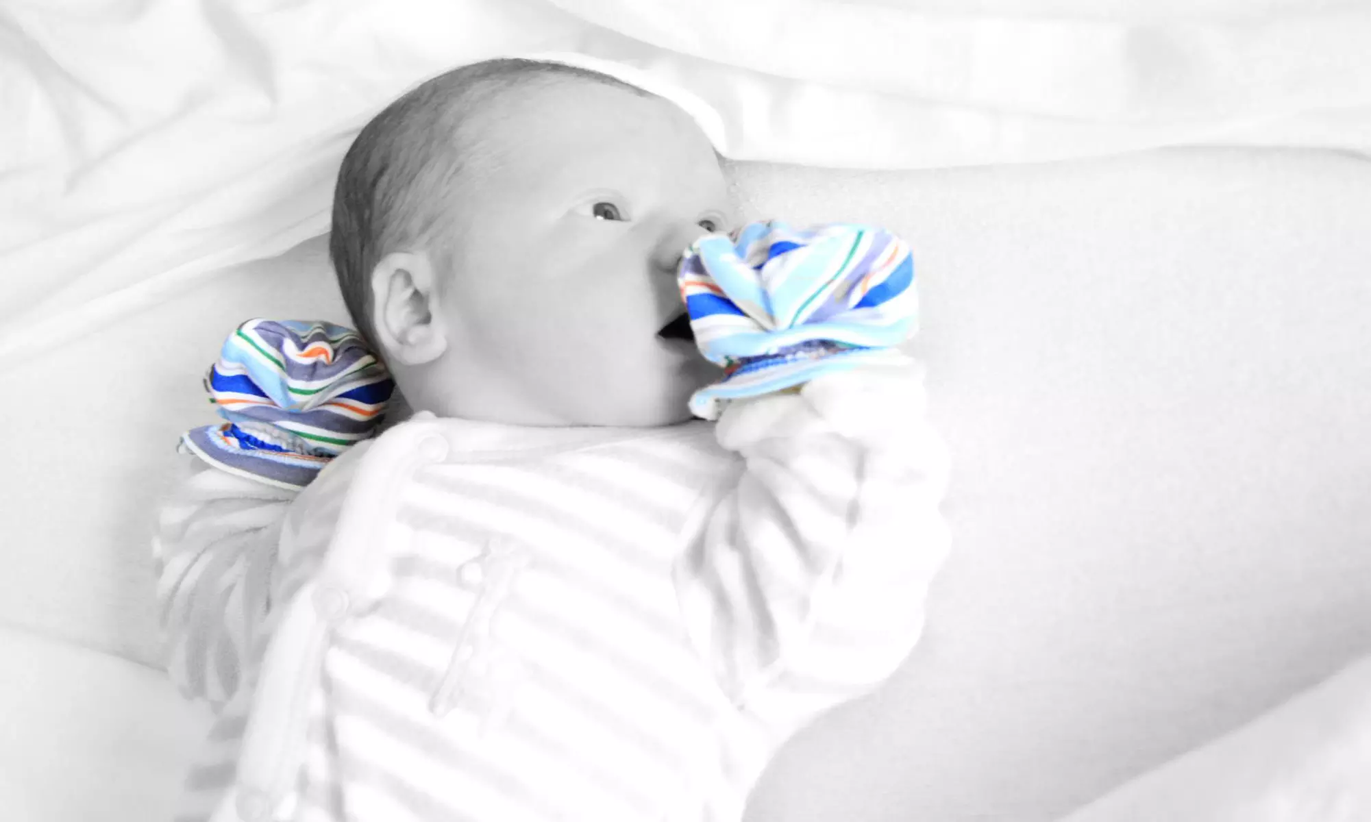 60- or 120-Minute On-Location Photo-Shoot Package from Gregory Johnston Photography (Up to 81% Off) - Primary Image