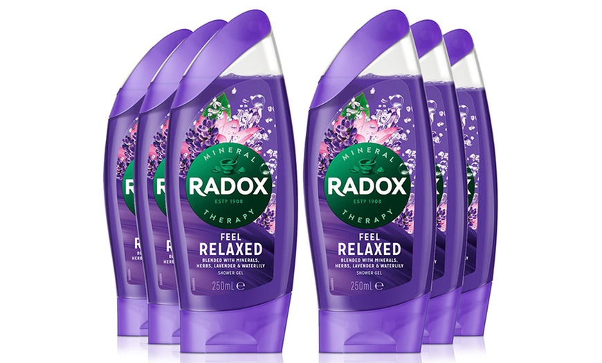 Image 2: One or Six Packs of Radox Shower Gel 250ml