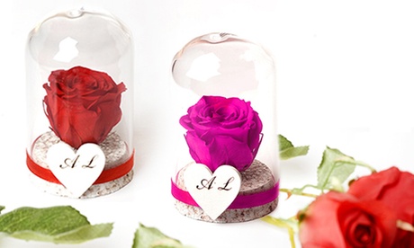 Rose stabilizzate con confezione personalizzata offerte da FotoMox (sconto fino a 43%)