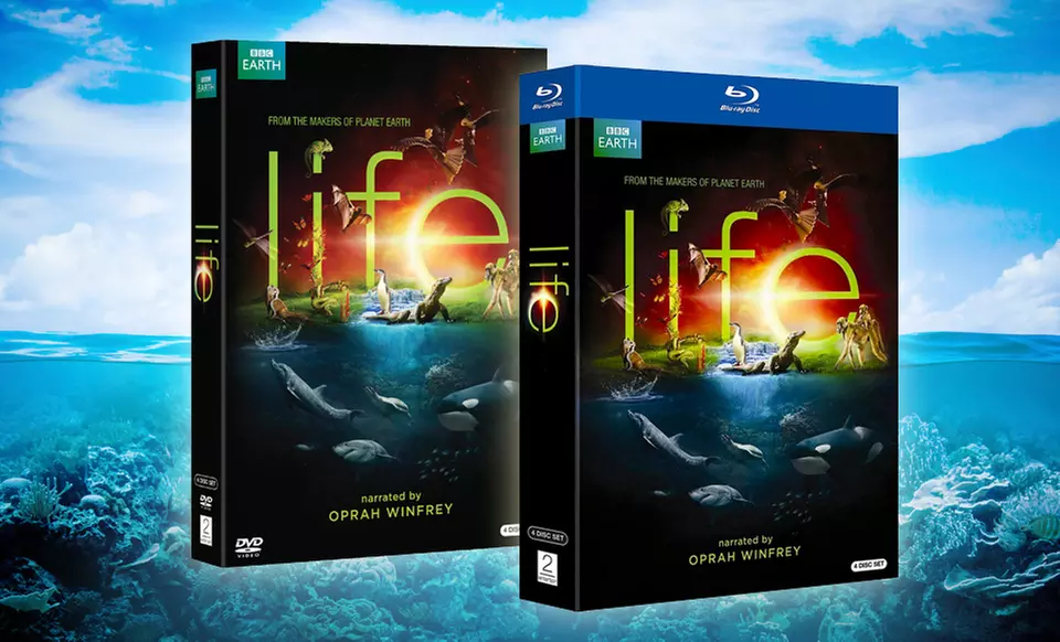 BBC Life 4-Disc DVD or Blu-ray Set Narrated by Oprah Winfrey - Primary Image