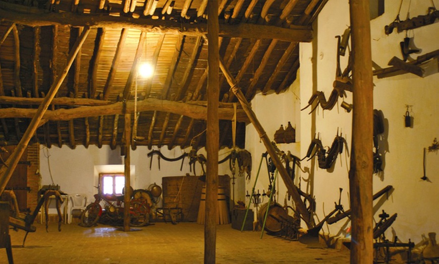 Image 9: Visita a bodega con cata de vinos 