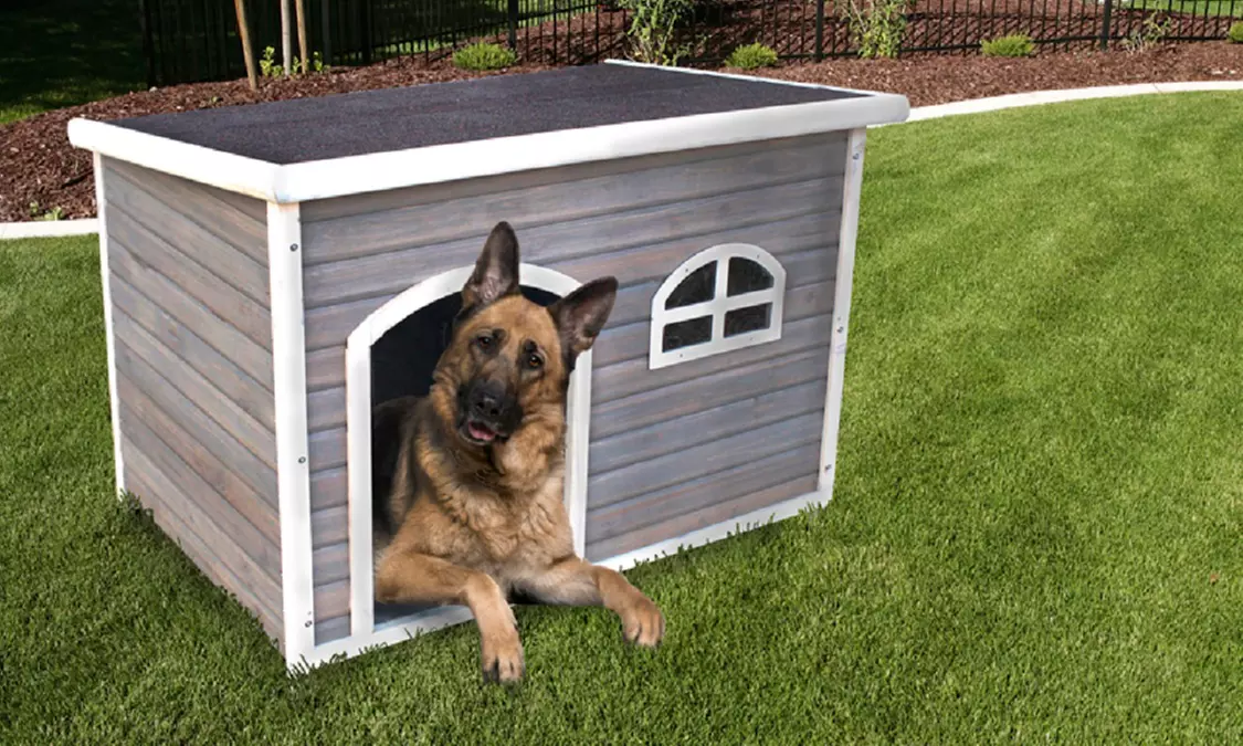 Spotty Extra-Large Dog House - Primary Image