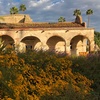 Image 9: Mission San Juan Capistrano – 50% Off Visit