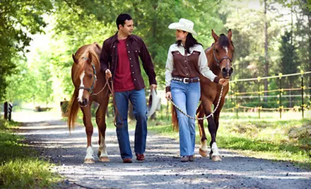 6-Hour Horseback-Riding Clinic or 2.5-Hour Lesson and Trail Ride at Sagebrush Ranch (Up to 60% Off) - Primary Image