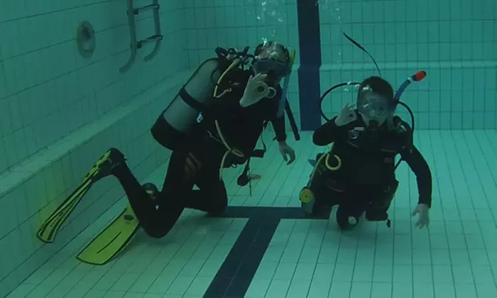 Nurkowe Intro dla 1 lub 2 osób lub kurs Open Water Diver