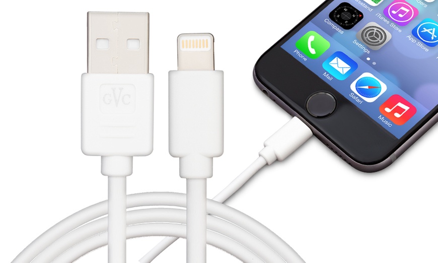 Image 11: 1, 2 ou 3 cables pour iPhone