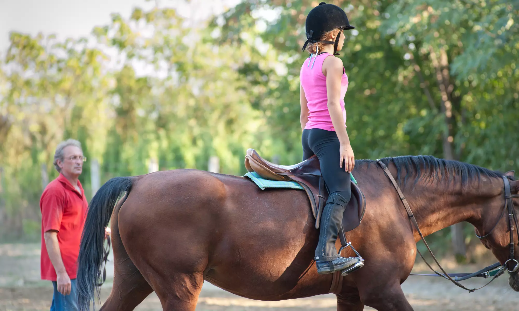 $16 for $45 Worth of Horseback-Riding Lessons — Wentz Stables and Training Fclty - Primary Image