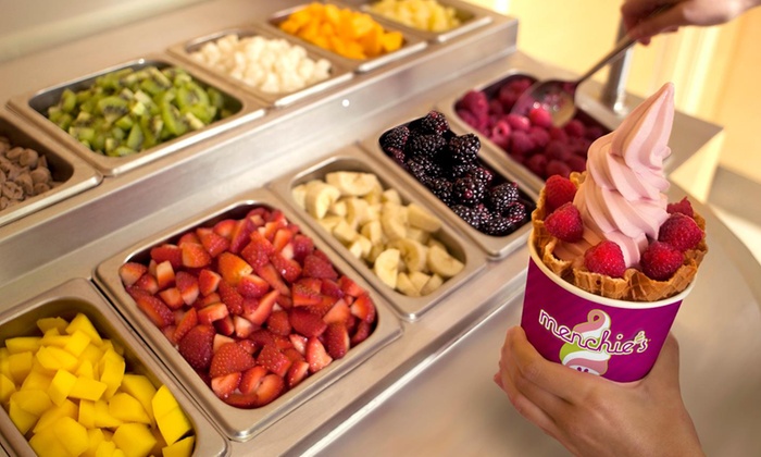 Bilderesultat for frozen yogurt