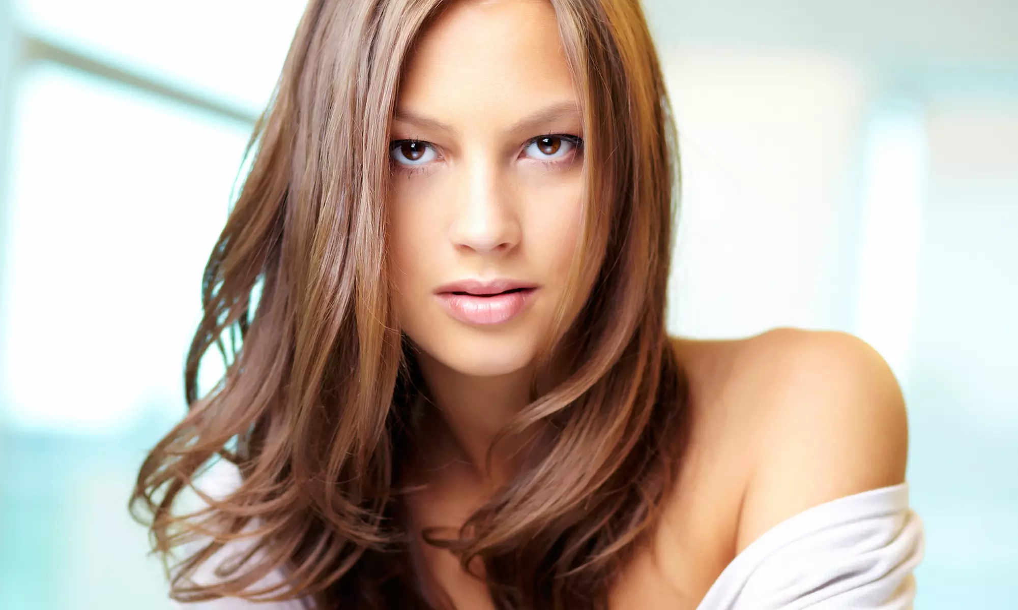Haircut and Conditioning, or a Consultation and Twist or Loc Maintenance at Sage an Organic Salon (Up to 53% Off) - Primary Image
