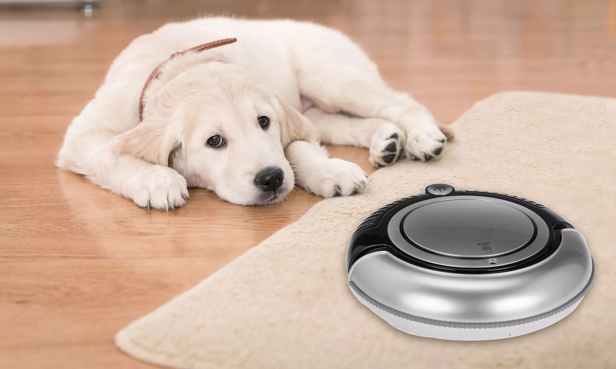 Kalorik Robot Vacuum Cleaner and Mop - Primary Image