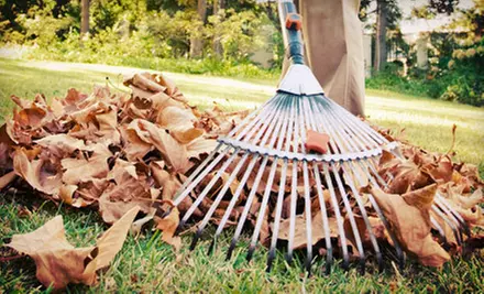 $69 for a Fall Lawn-Cleanup Package with Aeration, Cut, and Fertilization from Monster Aeration ($260 Value) - Primary Image