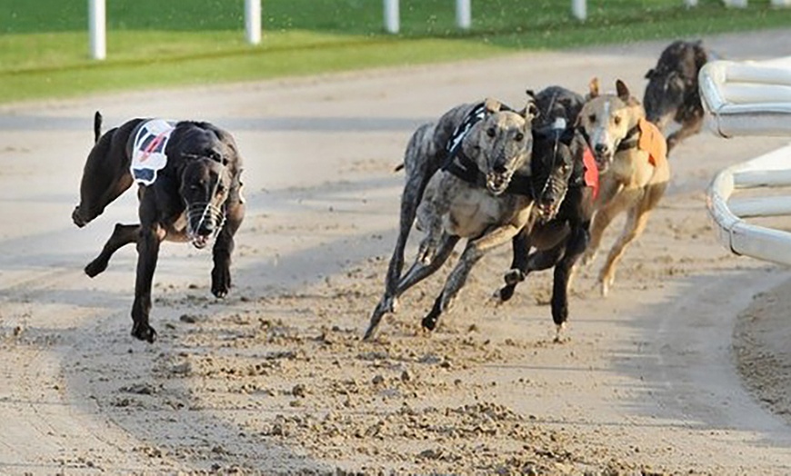 Image 3: Dog Race Entry and Meal with Drink at Towcester Racecourse